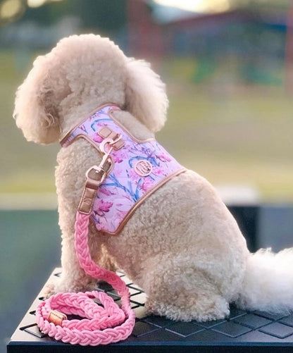 HGP Dog Harness-The Lady