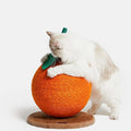 VETRESKA TANGERINE CAT SCRATCHING BALL