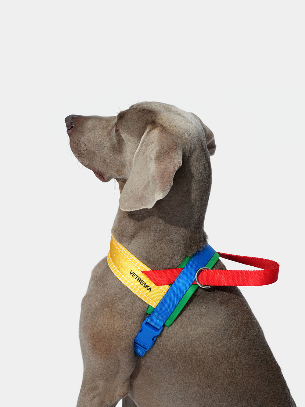 VETRESKA CHROMA PET HARNESS&LEASH SET
