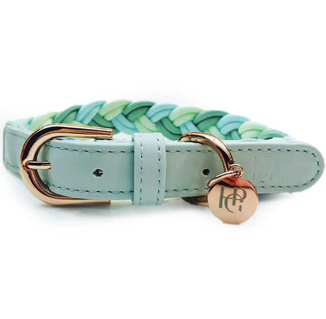 HGP Dog Collar Plaited