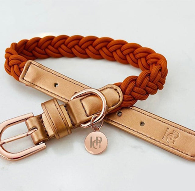 HGP Dog Collar Plaited