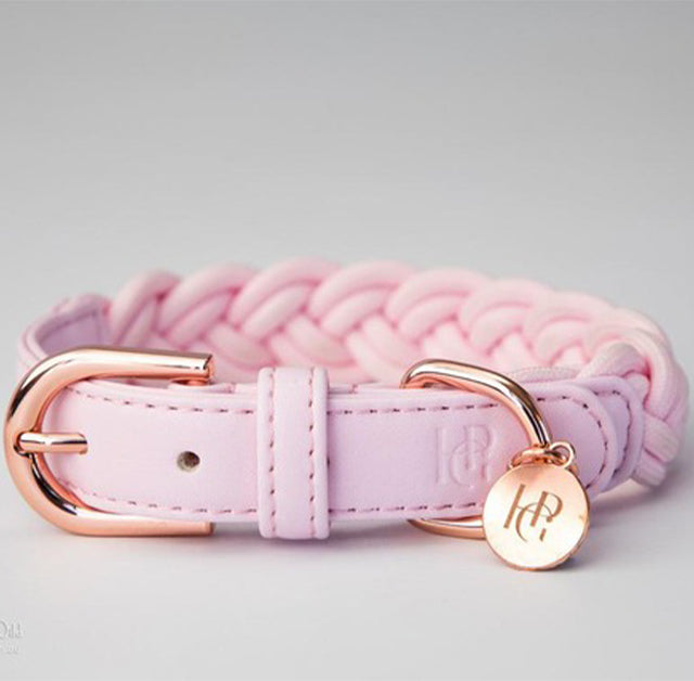 HGP Dog Collar Plaited