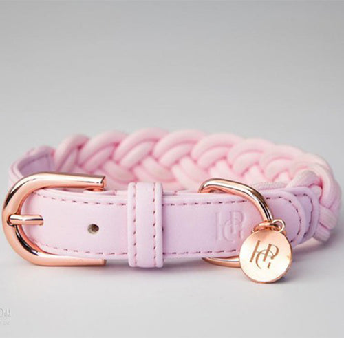 HGP Dog Collar Plaited