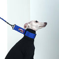 hosh Primary Collar Blue