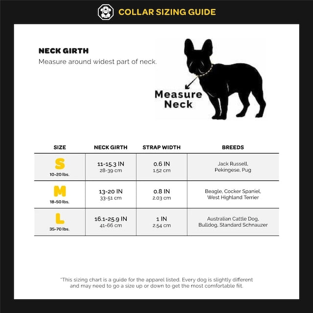 SANTA CRUZ X FRESH PAWZ | COLLAR