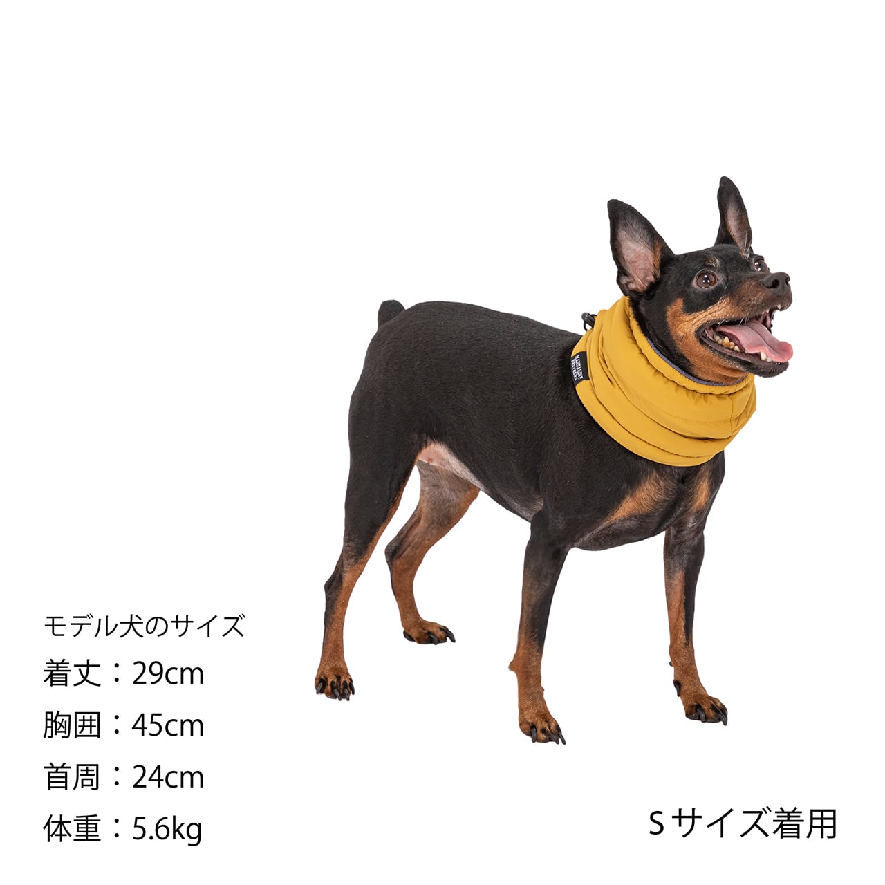 MANDARINE BROTHERS NECK WARMER