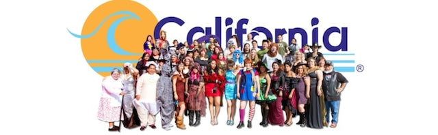 USPS Delivery Dog Costume