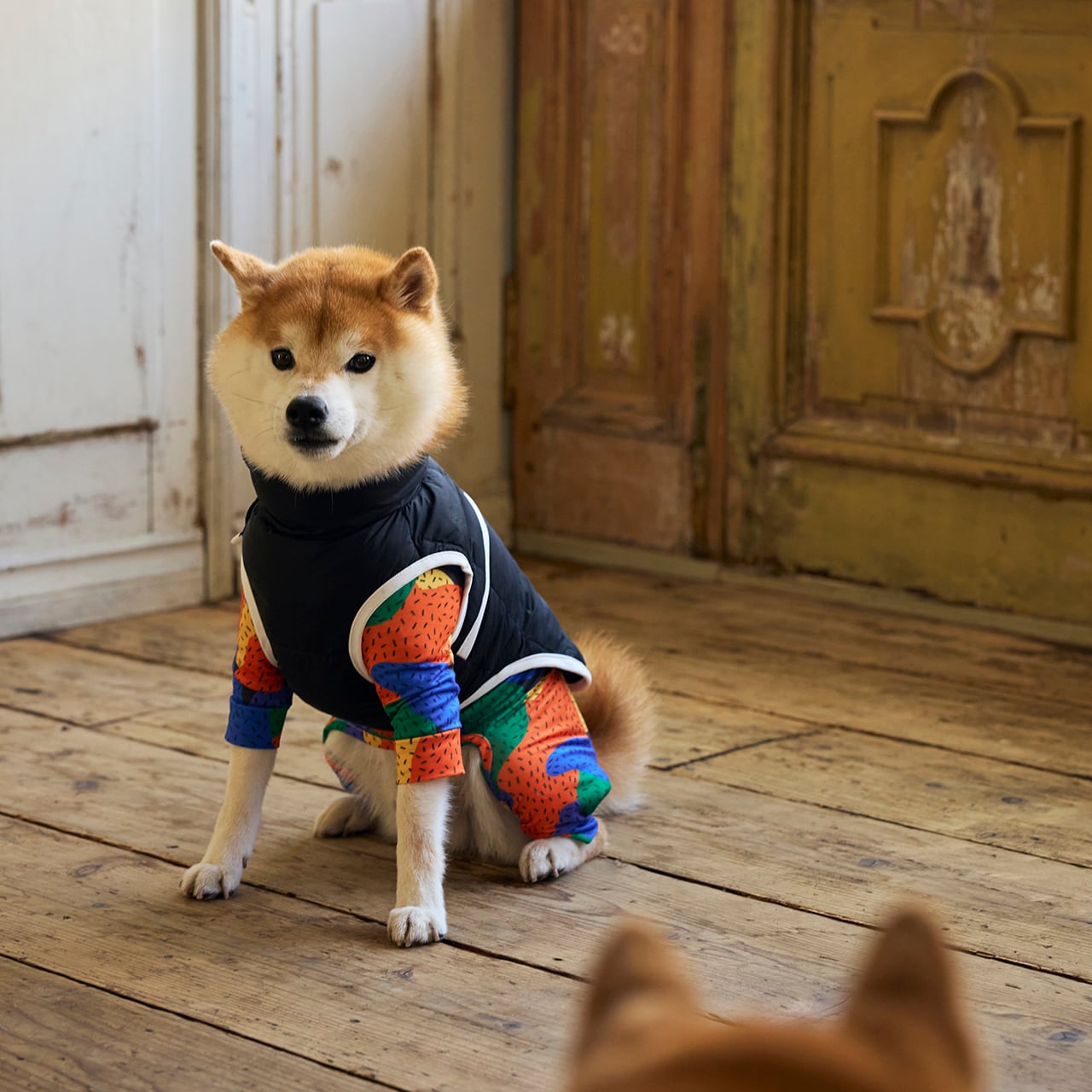 2025 FW MANDARINE BROTHERS SKIN TIGHT SUIT MULTI PRINT