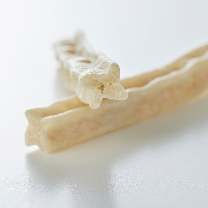 whitefox Quercus Salicina Dental Gum