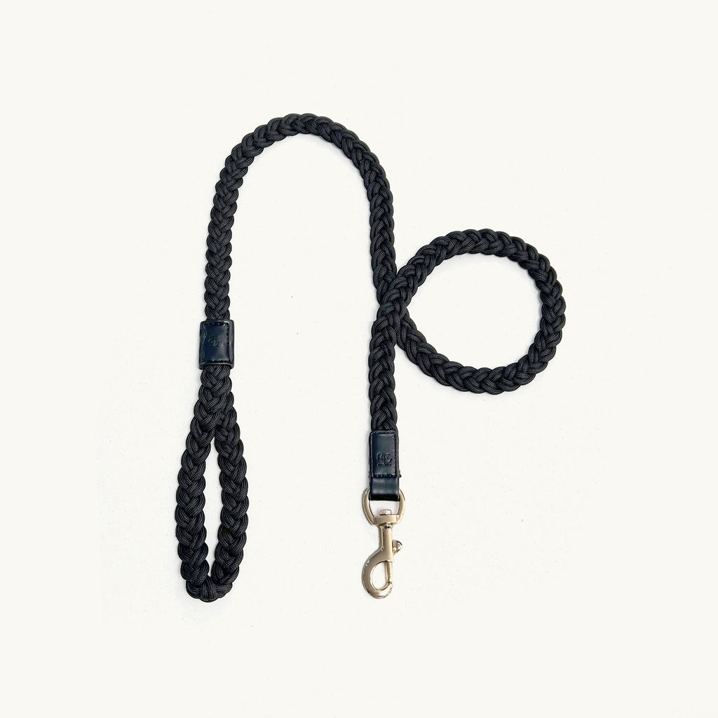 HGP Dog Leash Plaited