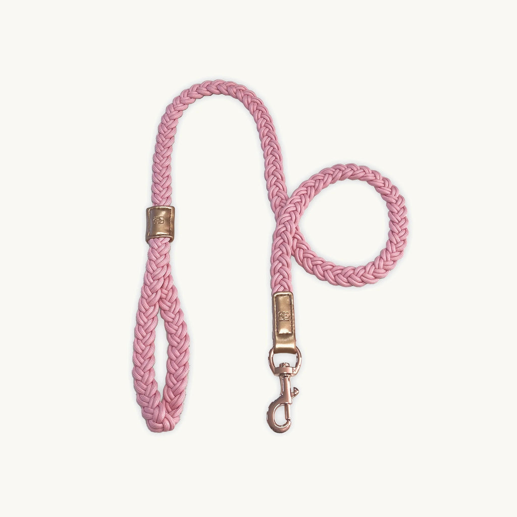 HGP Dog Leash Plaited