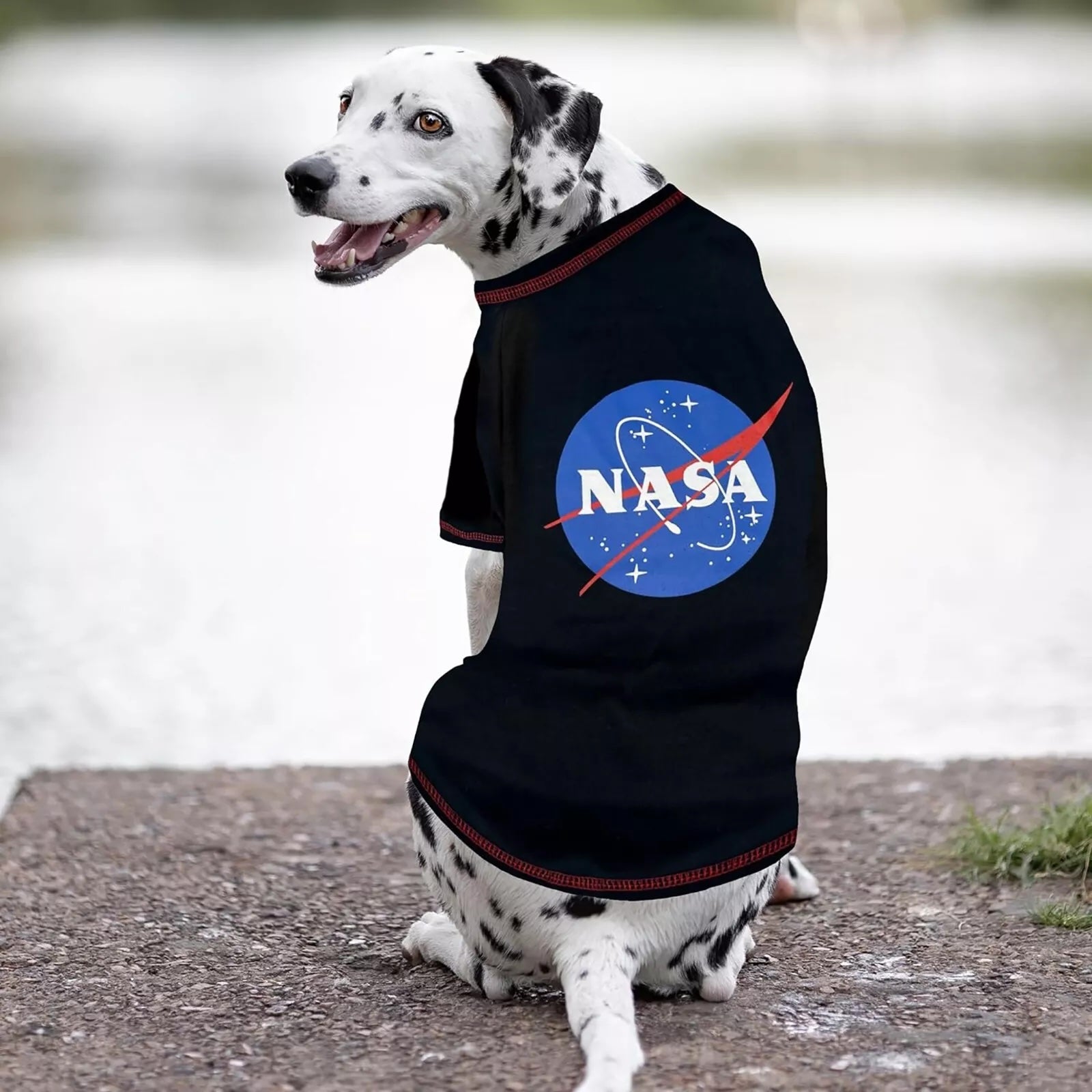 Official Licensed NASA Logo Tshirt for Dogs & Cats
