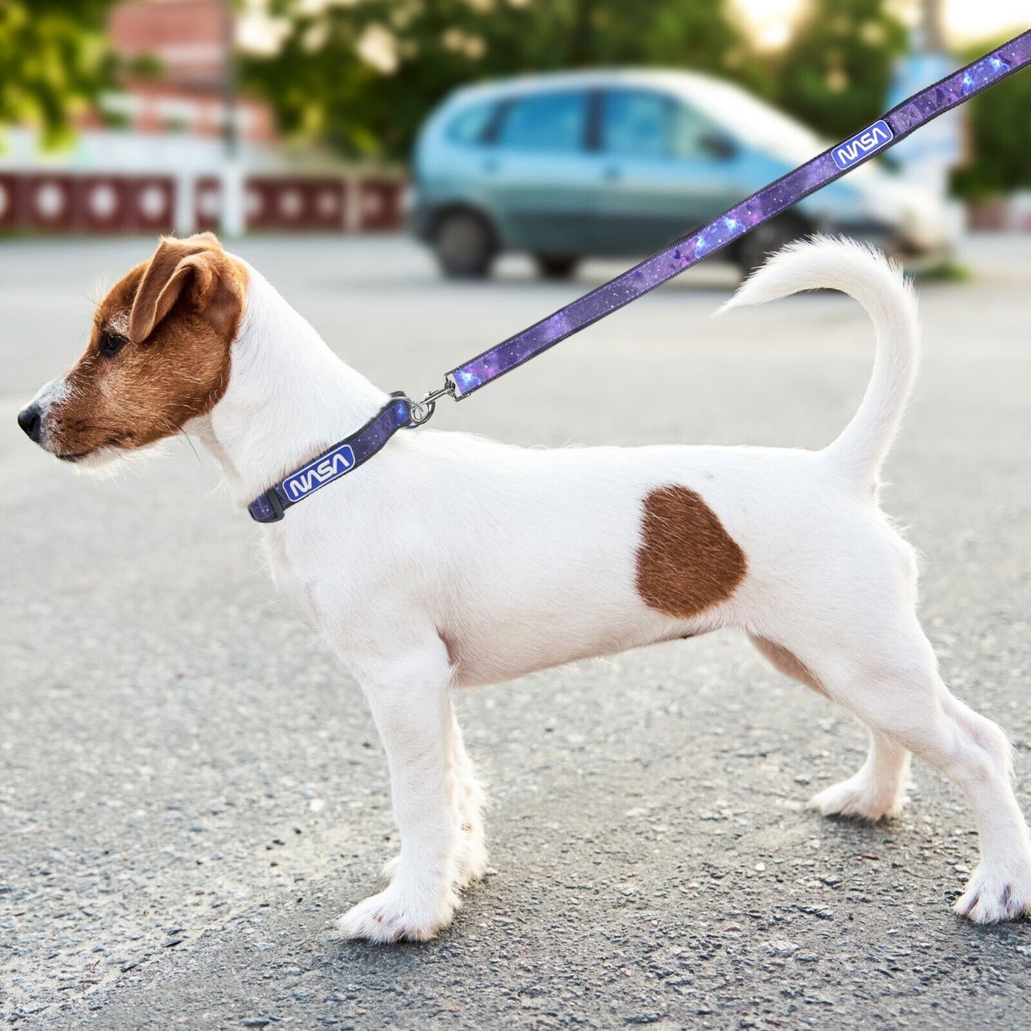 Official Licensed NASA Pet Leash Space Designed