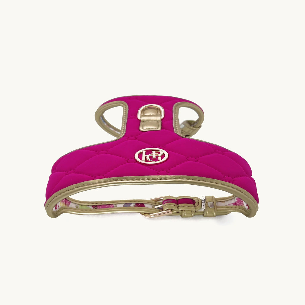 HGP Dog Harness